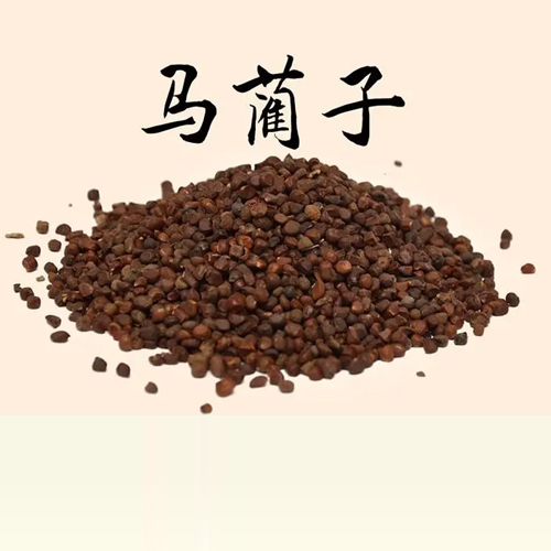 马蔺子